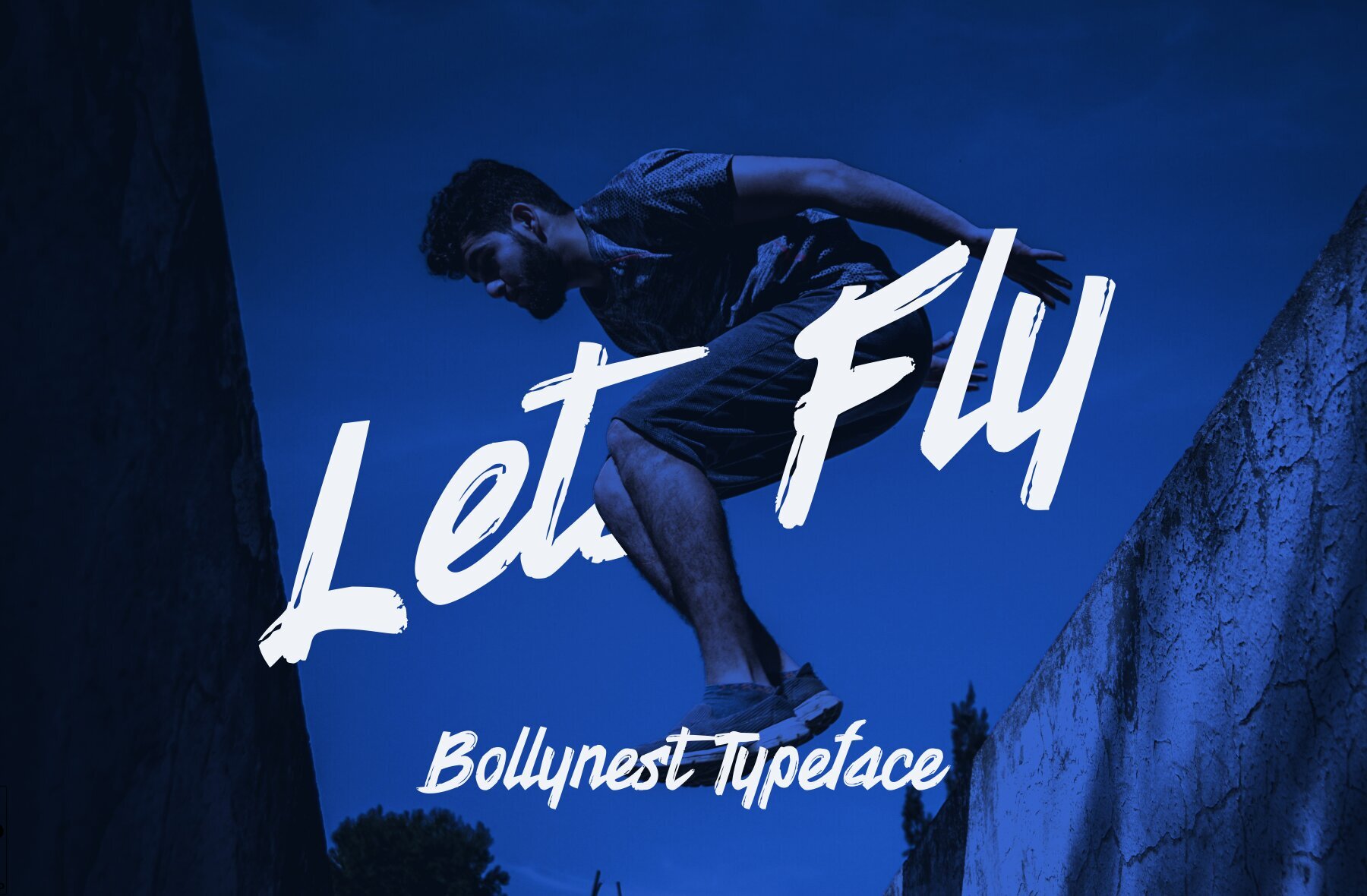 Bollynest 4