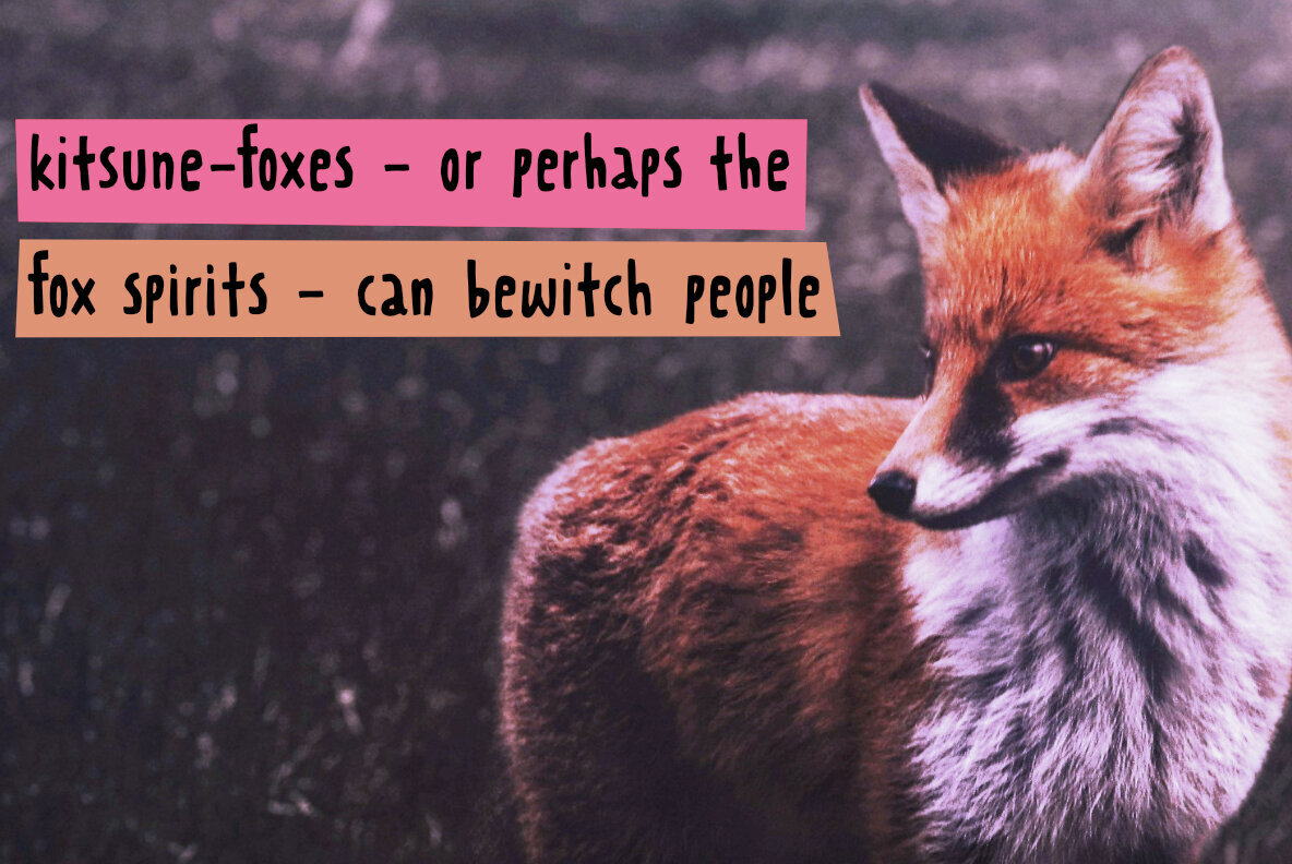 Kitsune Spirit 2