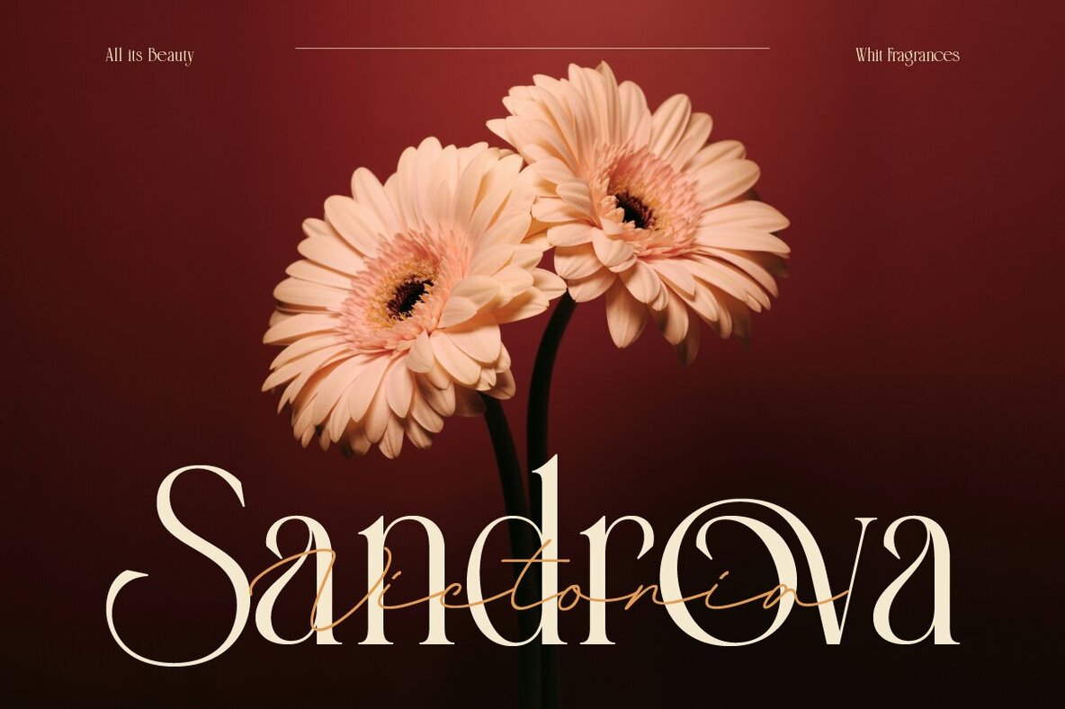 Aqualim Signature 11