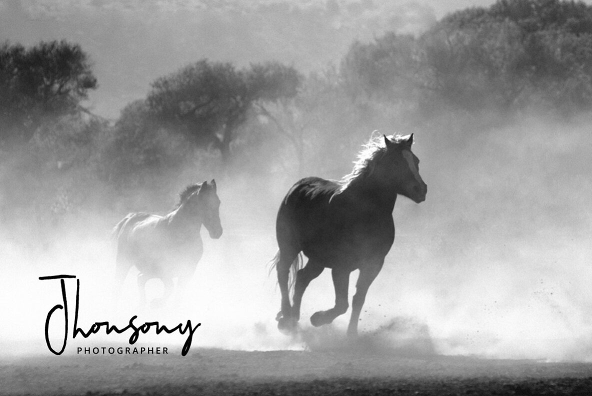 Hilmounte Signature 4