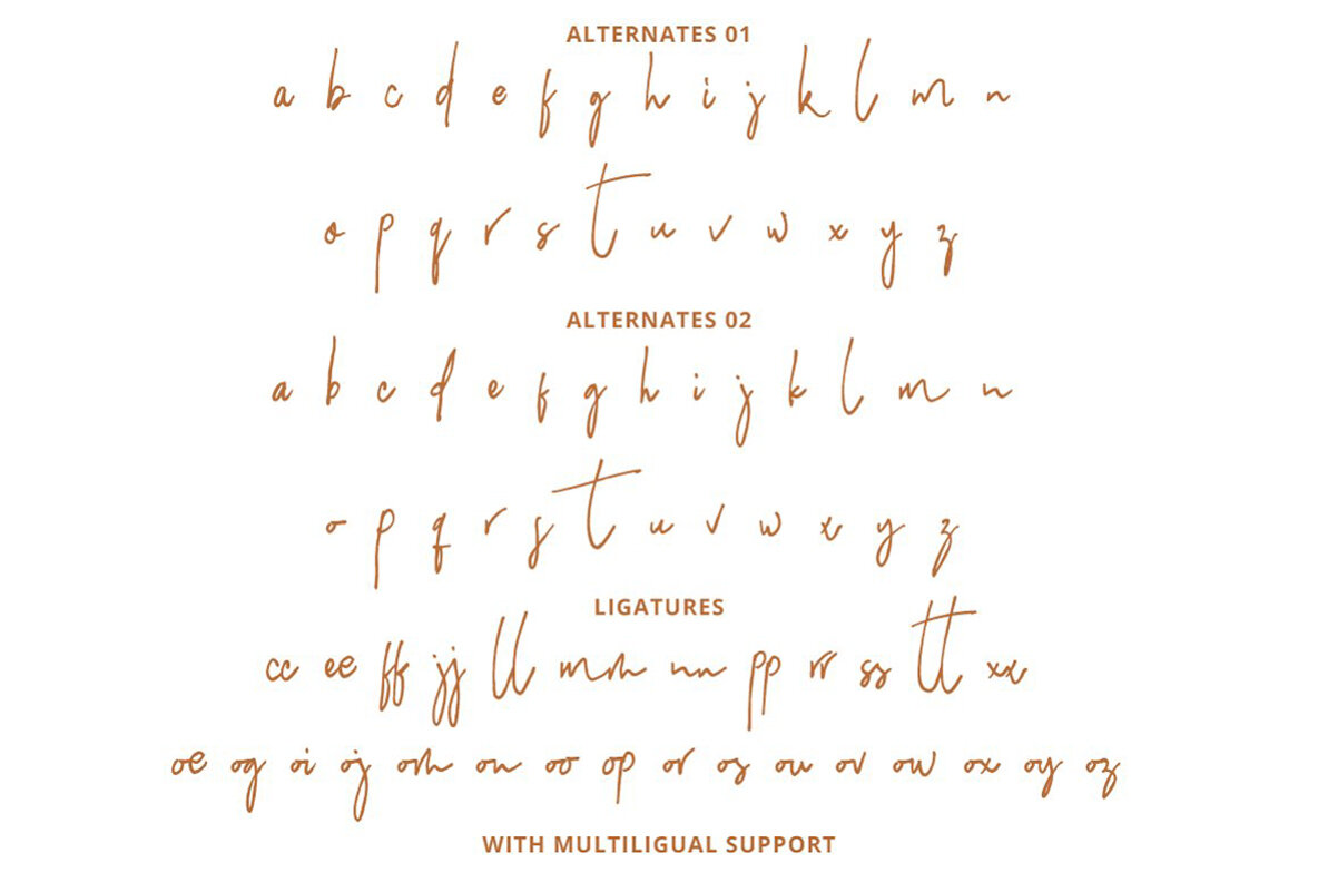 Hilmounte Signature 11