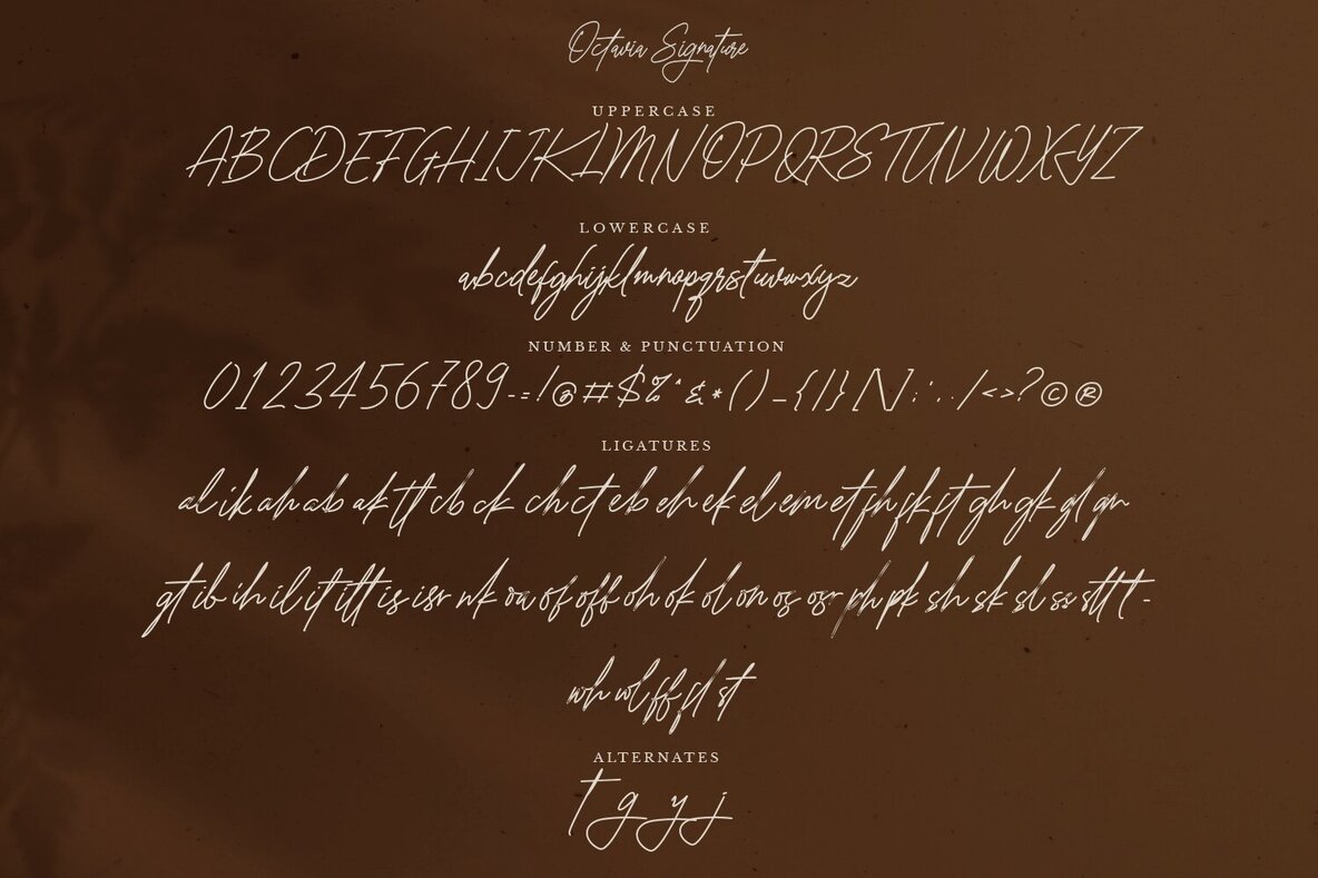 Octavia Signature 10