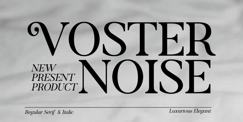 Voster Noise