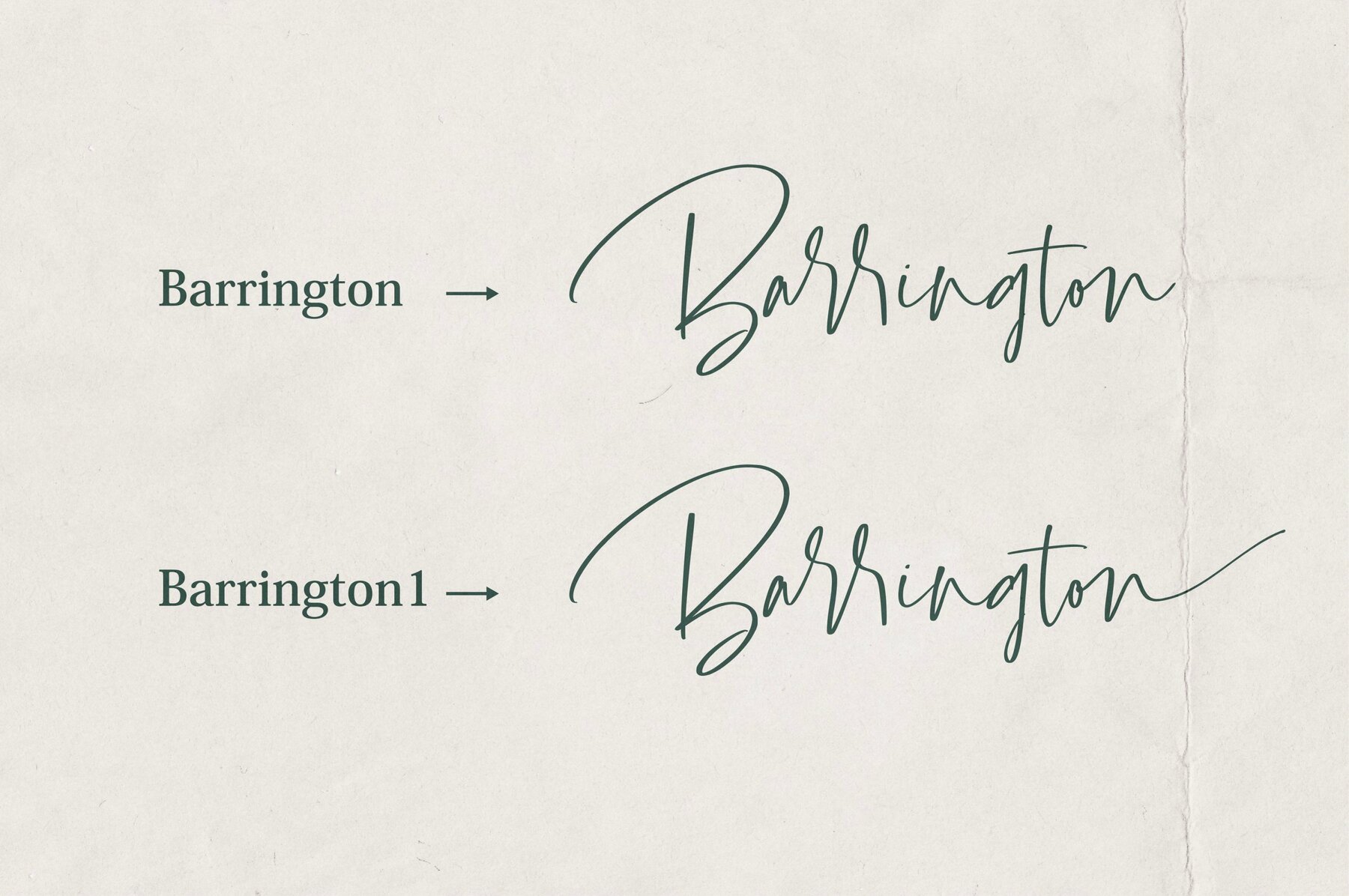 Barrington 6