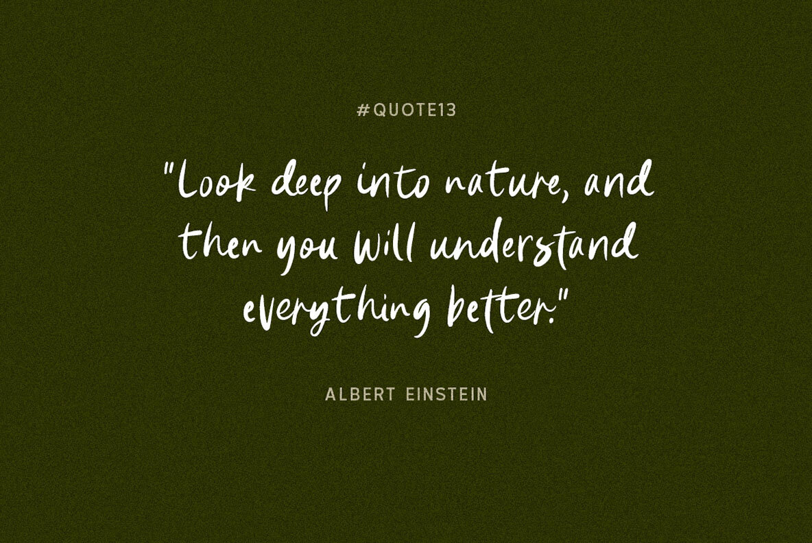 Natural Handwriting 2