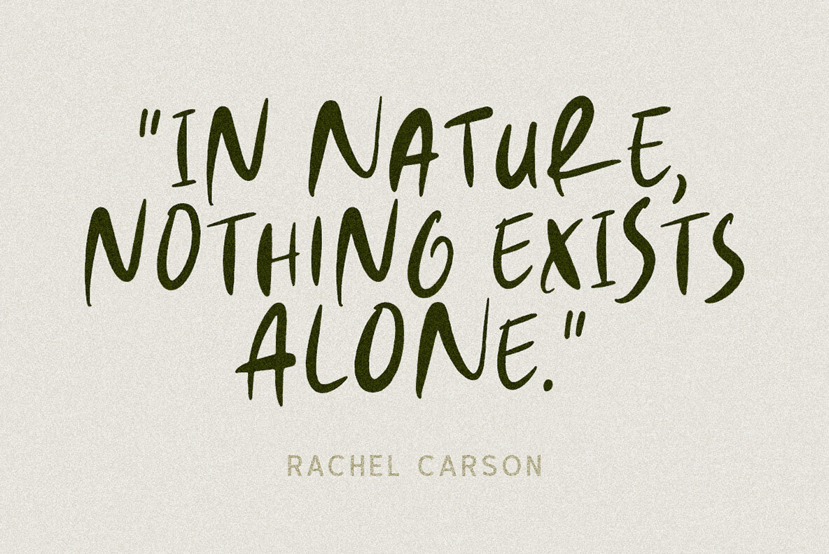 Natural Handwriting 4