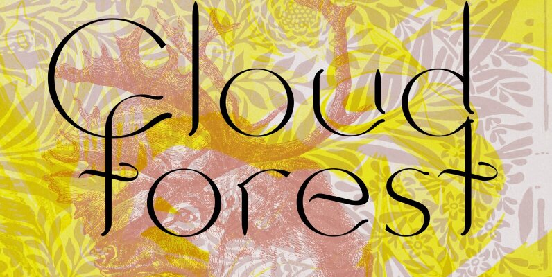 Cloudforest