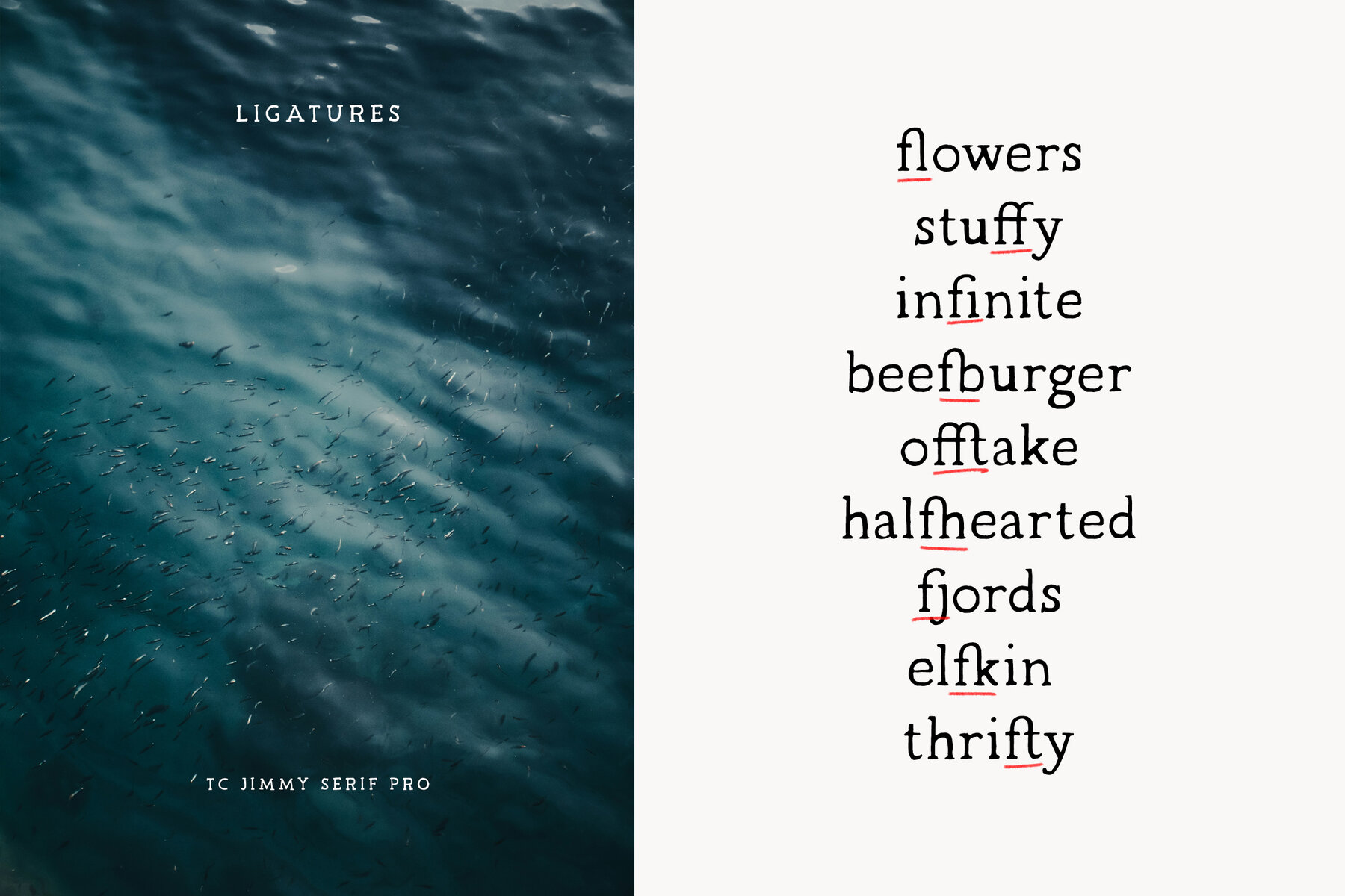 TC Jimmy Serif Pro 4