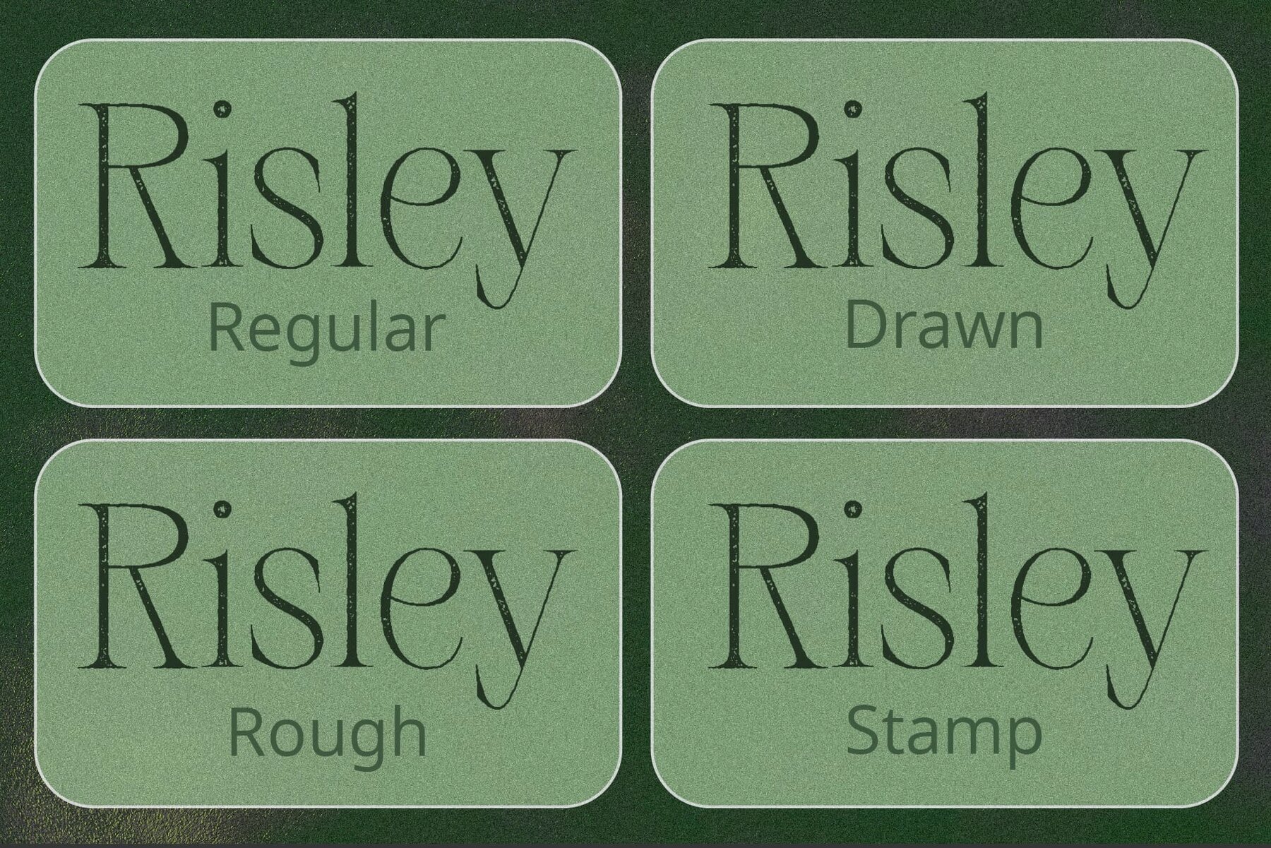 Risley Vintage 2
