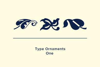 Design Font Type Embellishments 1