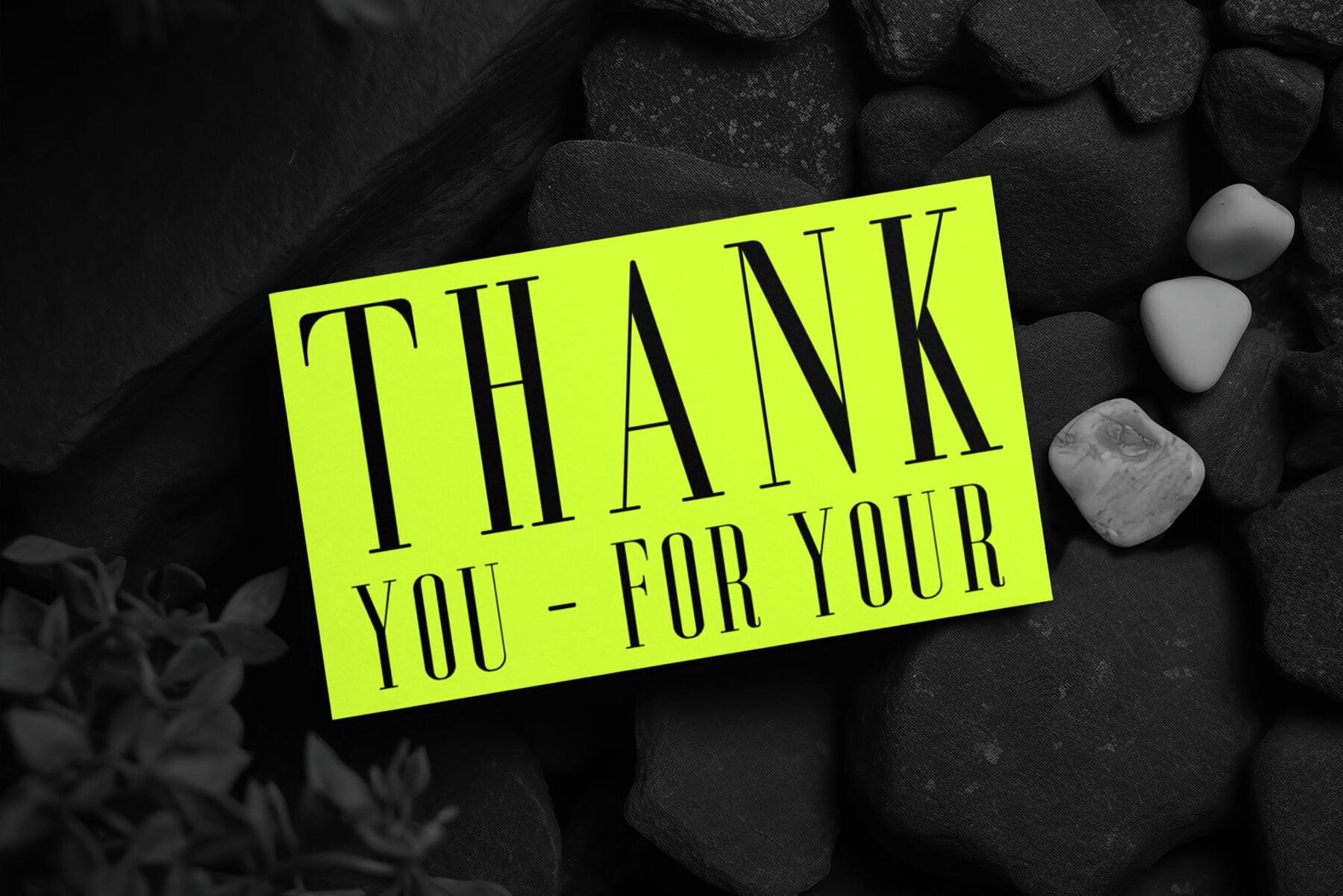 Aguero Serif Rounded 5