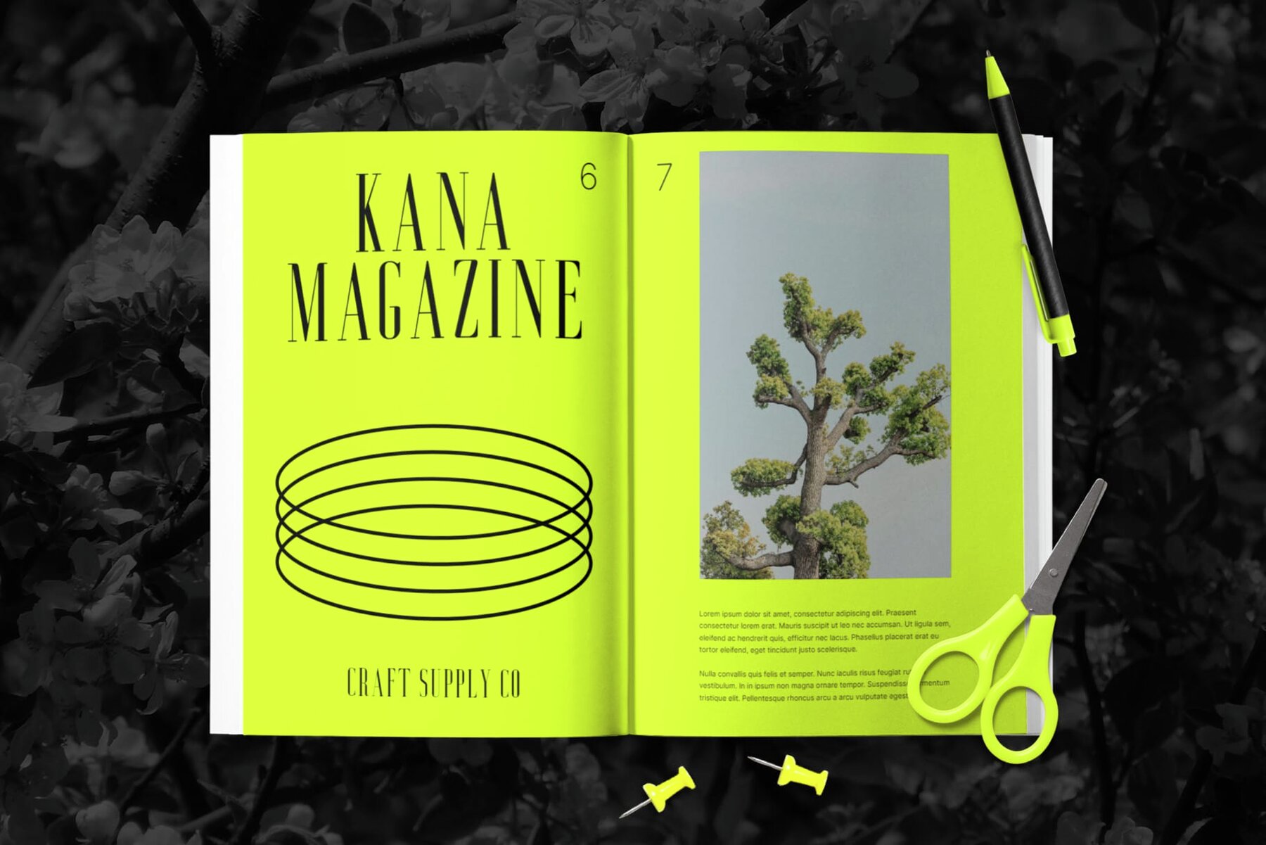 Aguero Serif Rounded 6