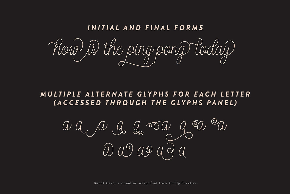Bundt Cake Script Font 6