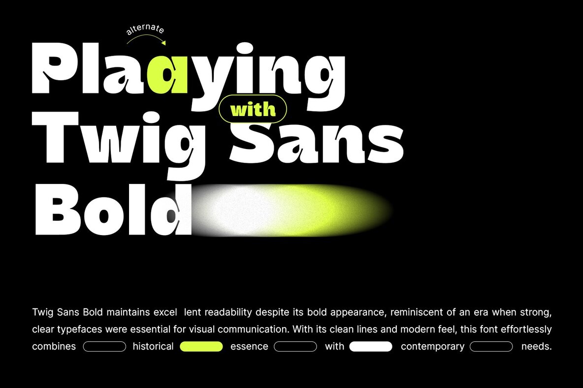 Twig Sans Bold 4