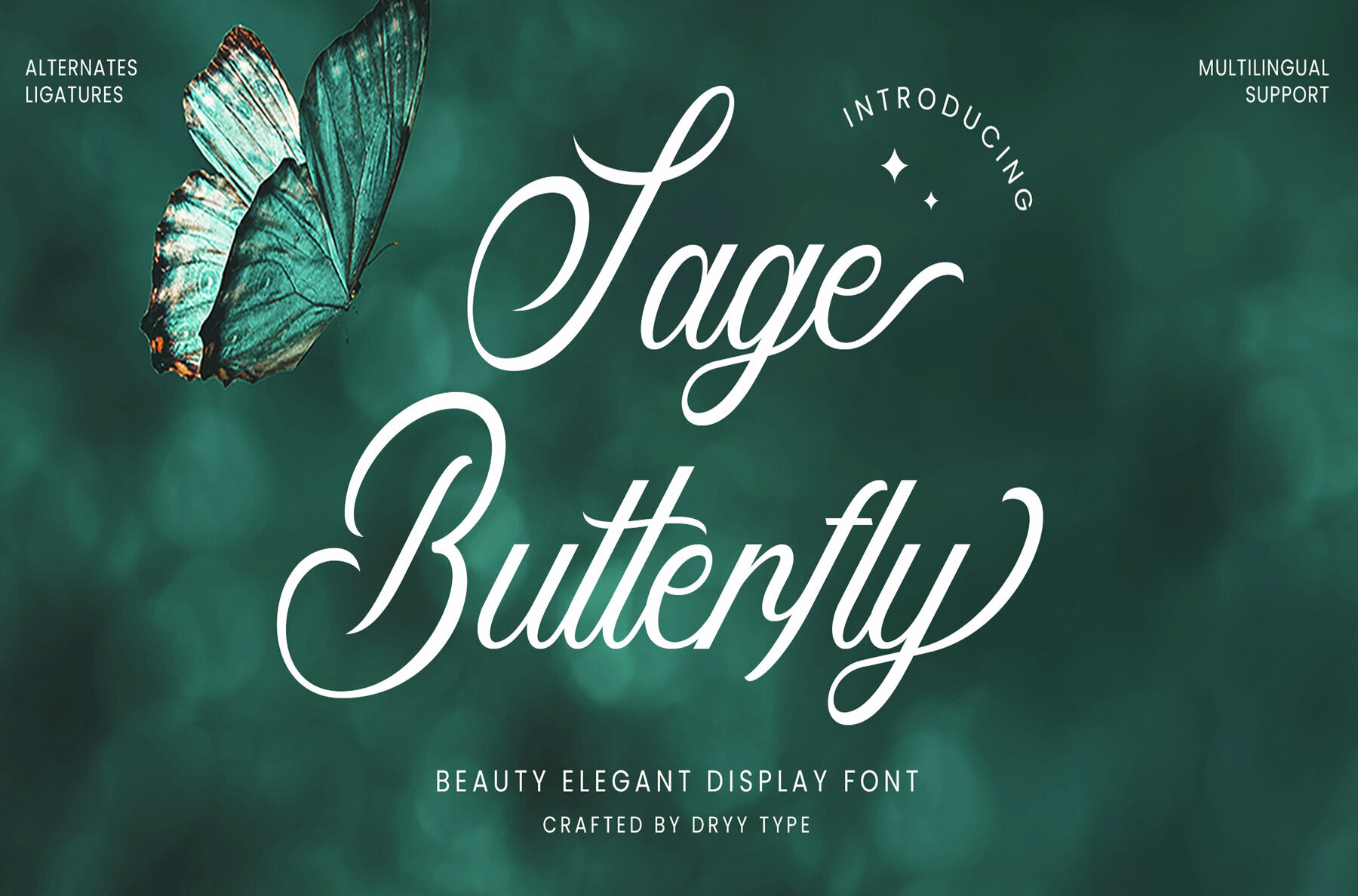 Sage Butterfly 1