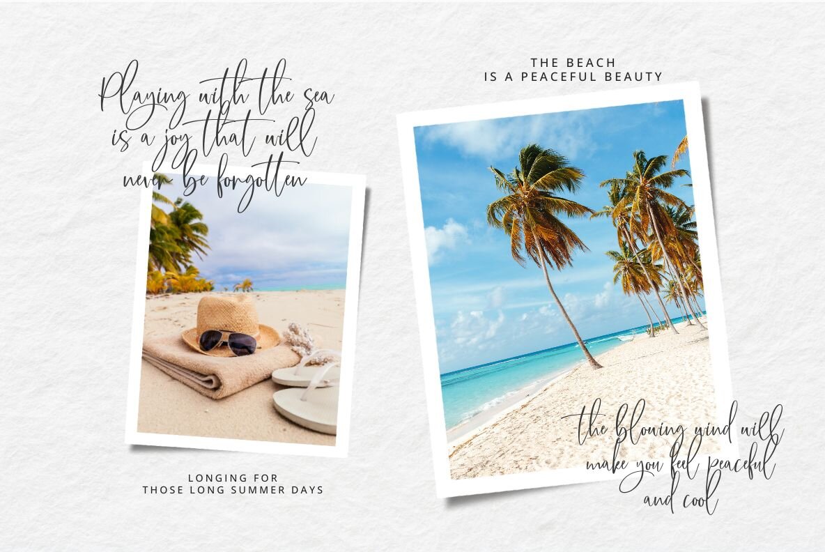 Callistia Signature 6