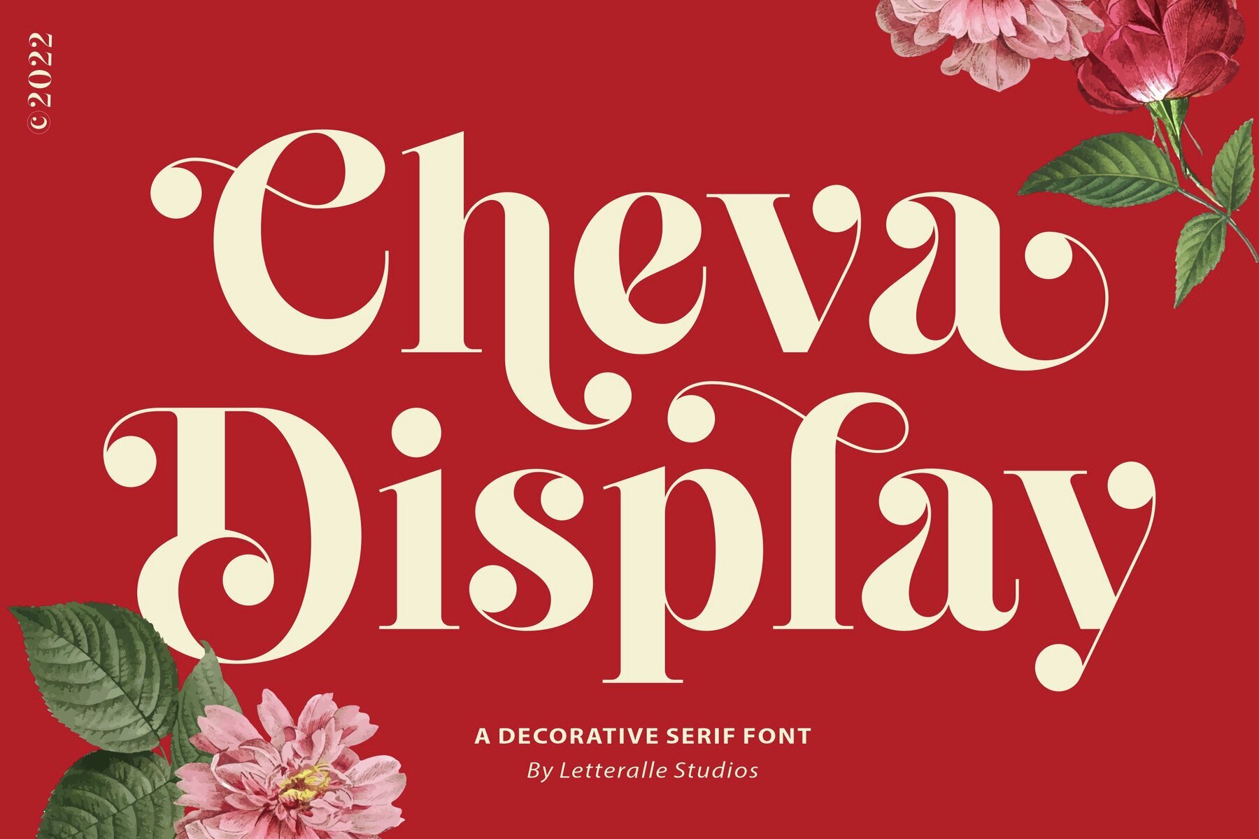 Cheva Display 1