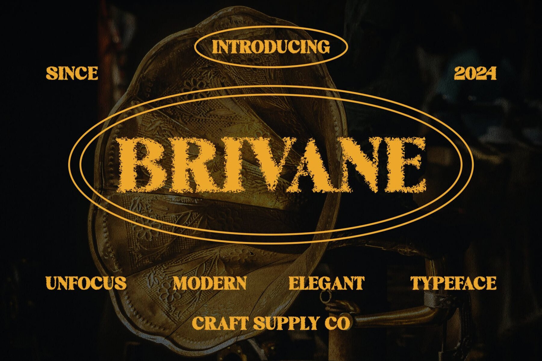Brivane Unfocus 1