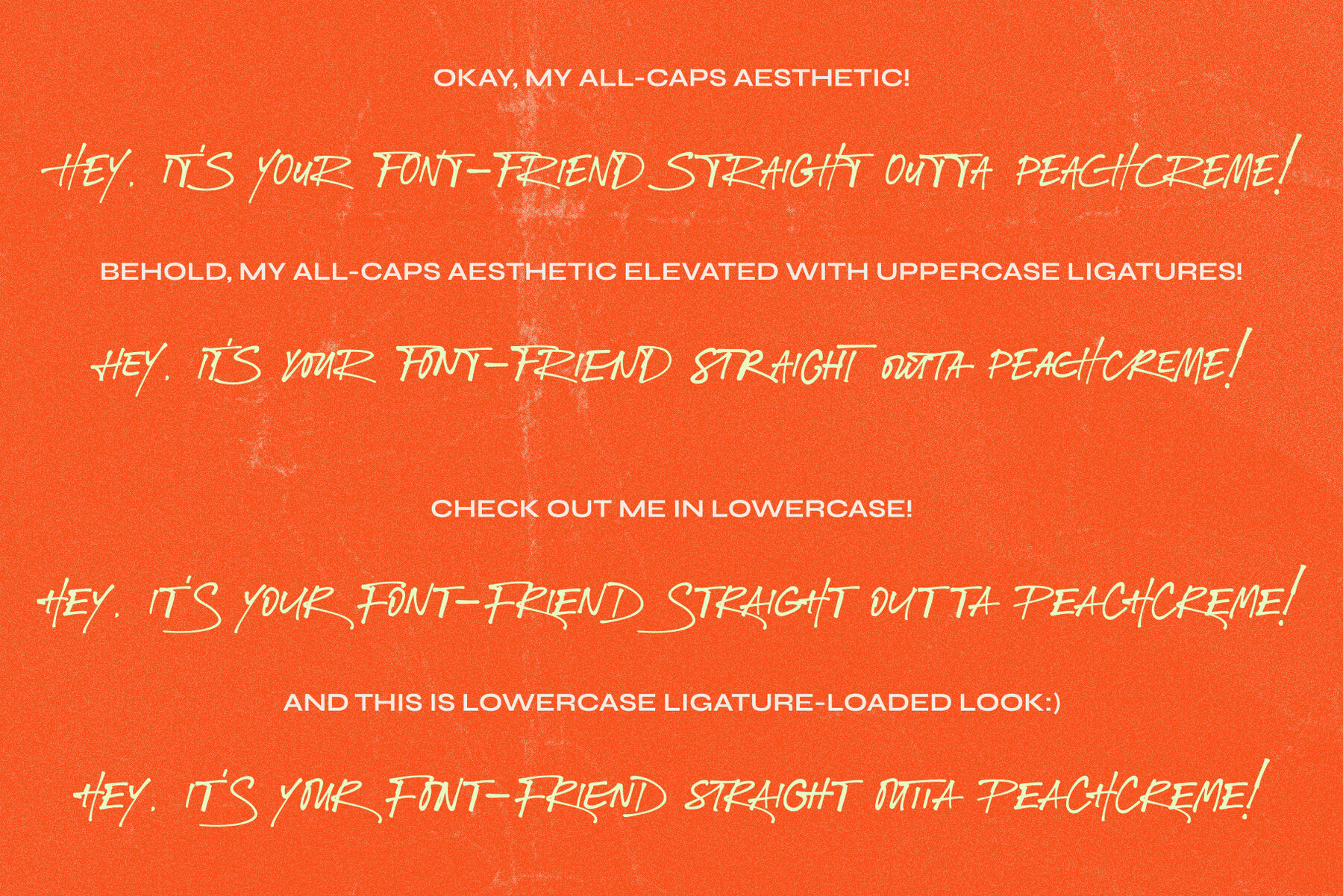 Fashion Experiment 7