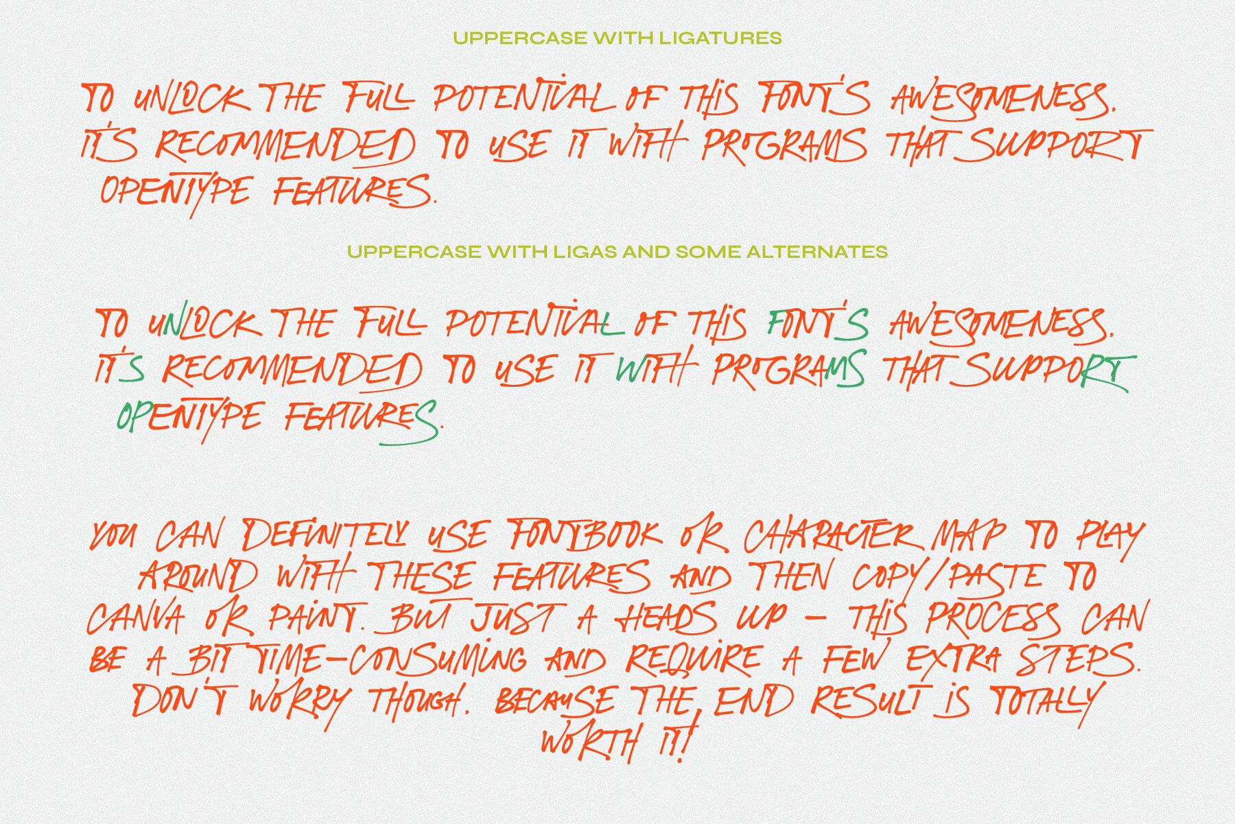 Fashion Experiment 8