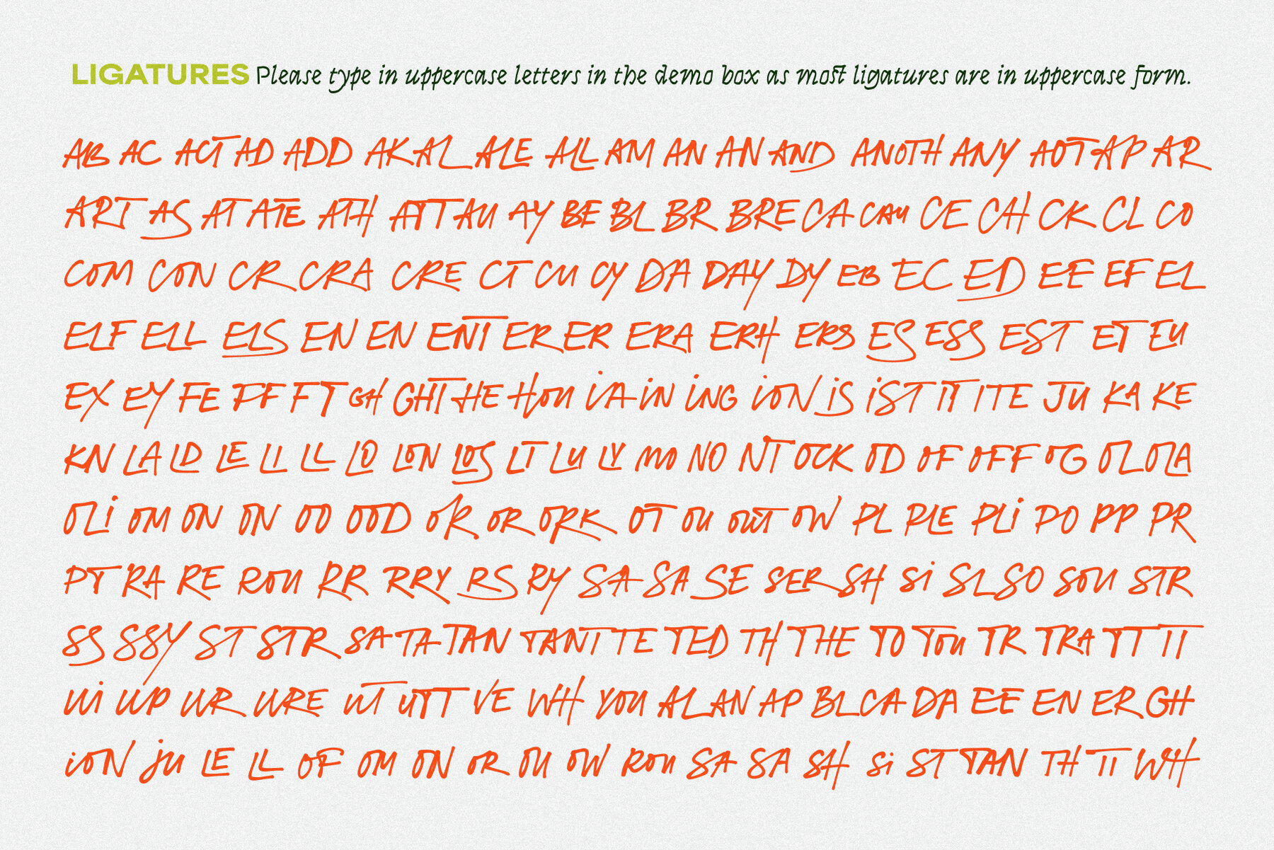 Fashion Experiment 13