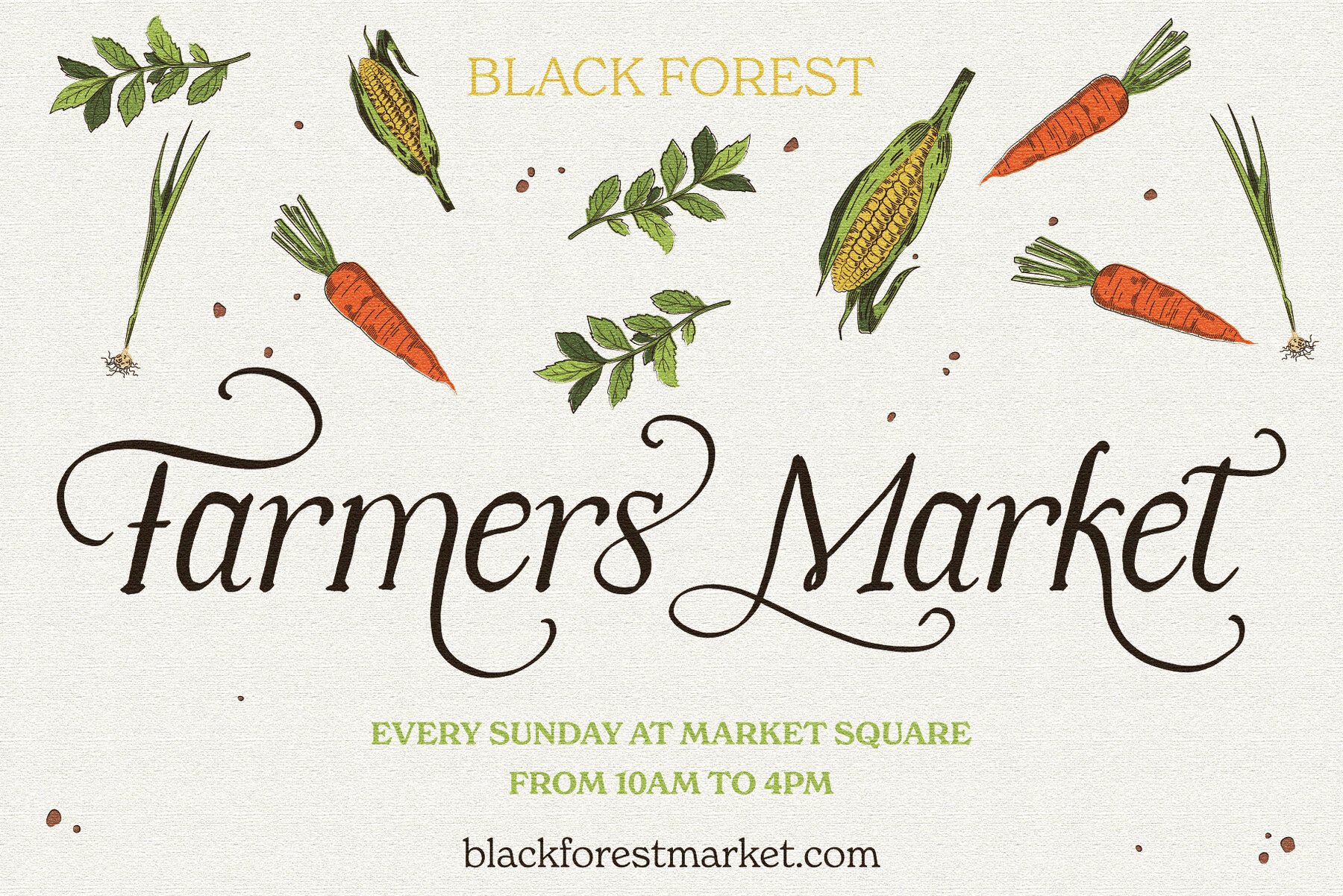 The Secret Library 11