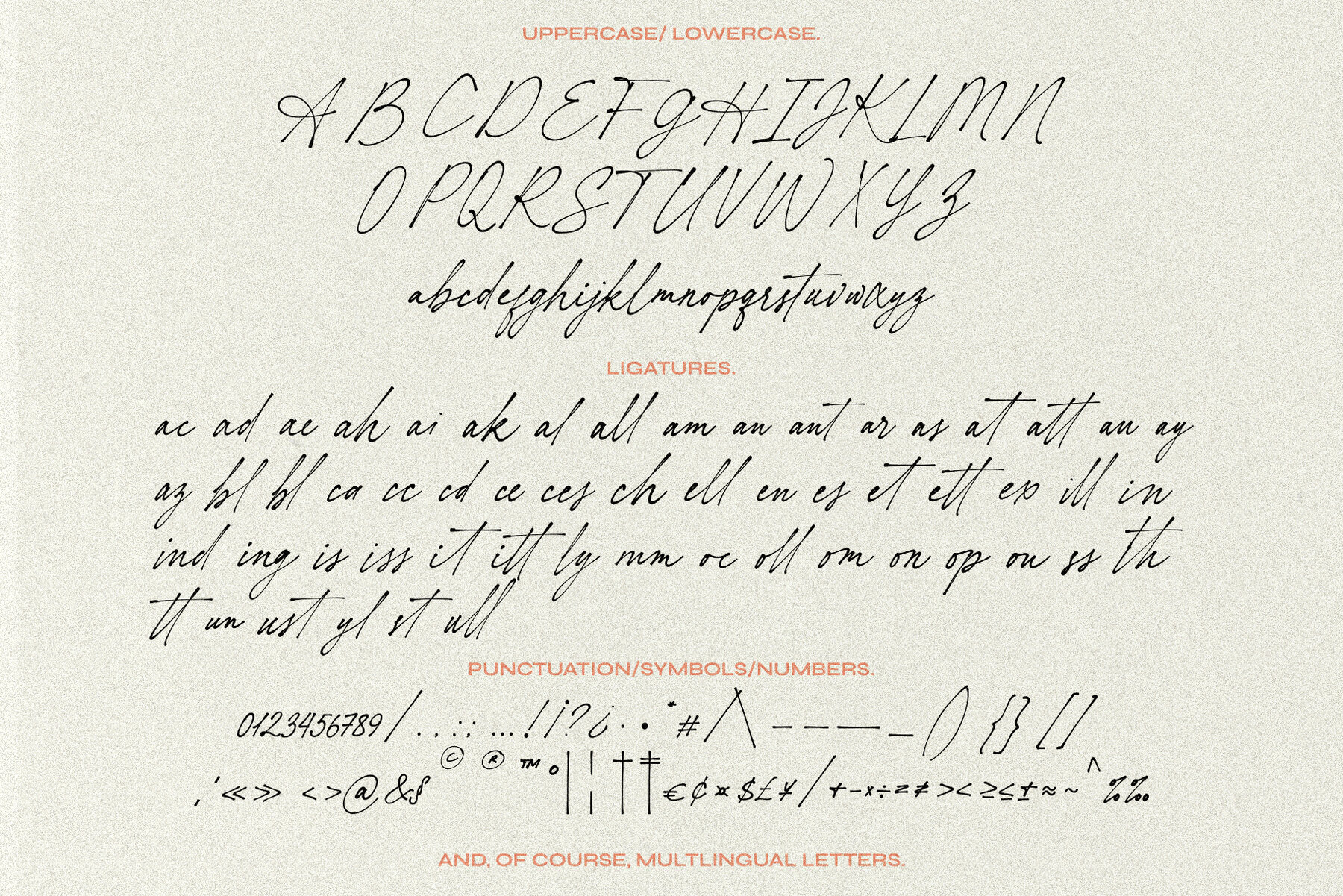 Hopeless Romantic Society 11