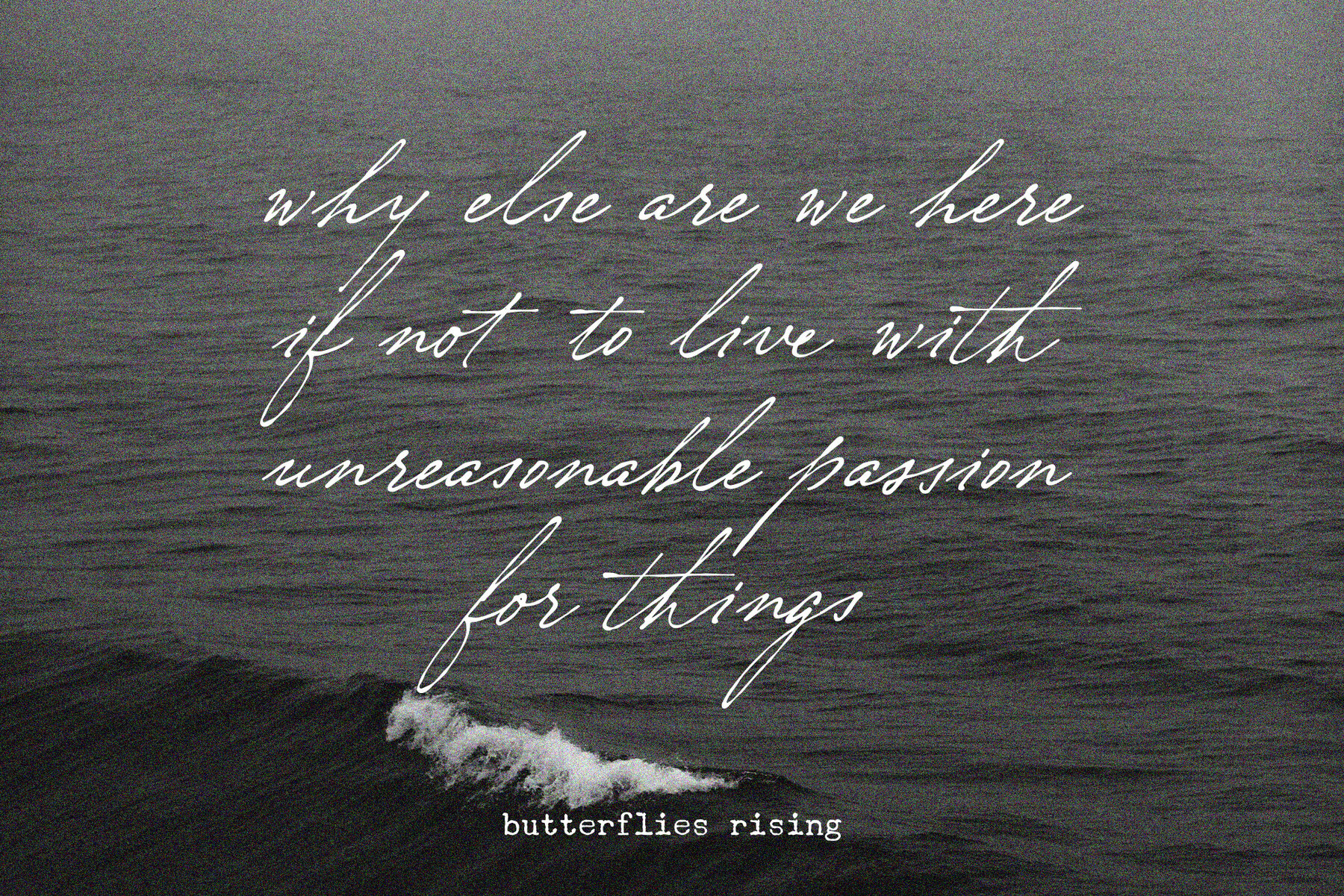 Nostalgia Peachcreme 4