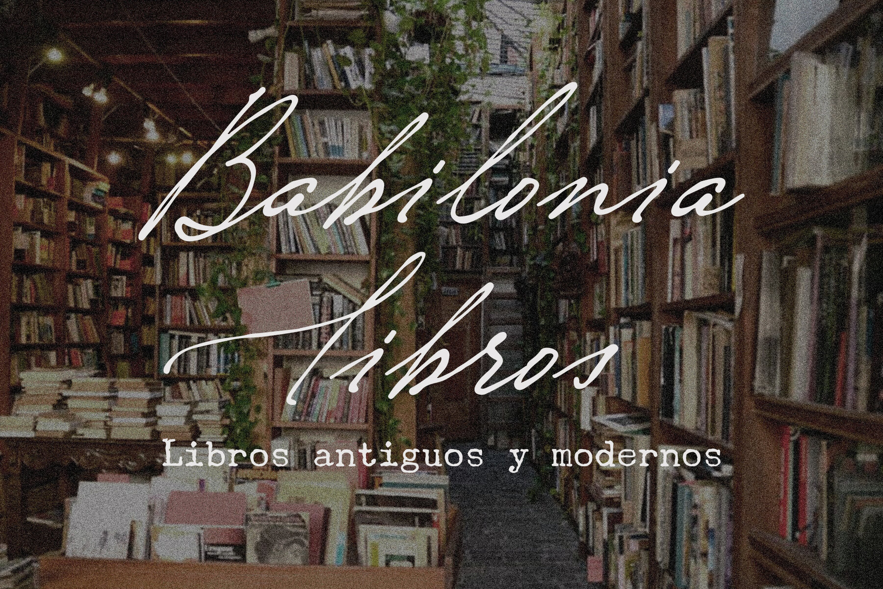 Nostalgia Peachcreme 9