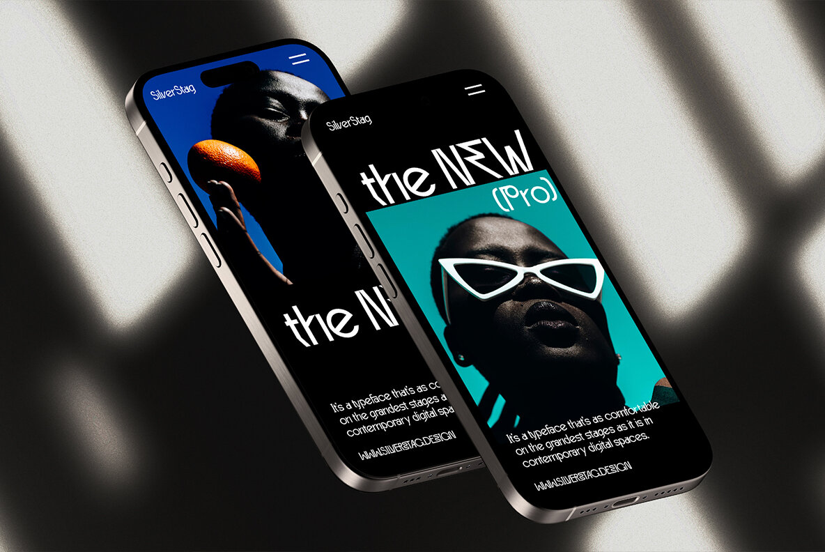 Baroque Grotesk v2 6