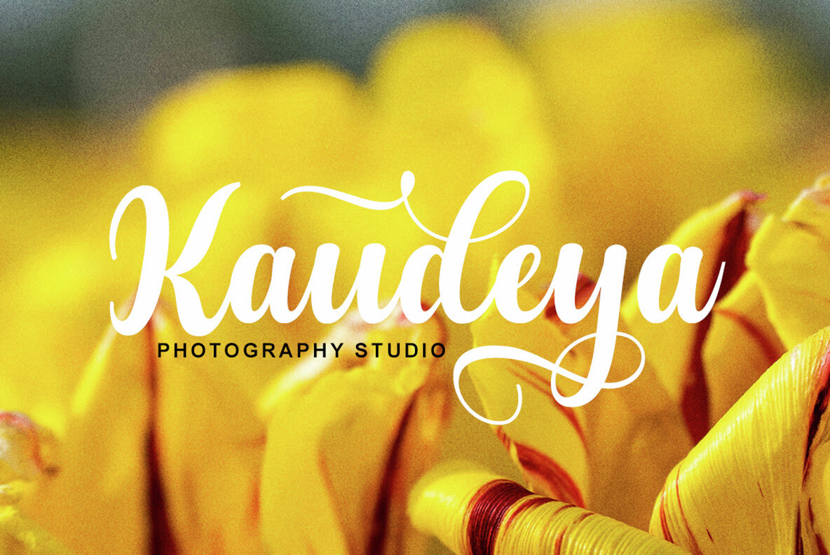 Kaedyn Cursive Kaydon Font - YouWorkForThem