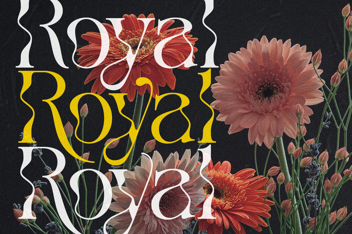 The Seiran Lapansa 12