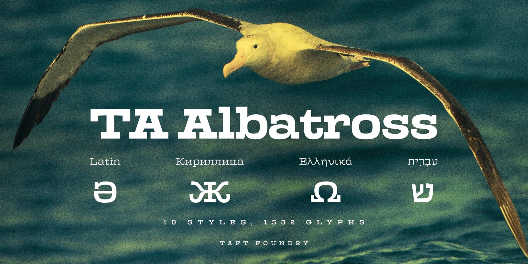 TA Albatross 1
