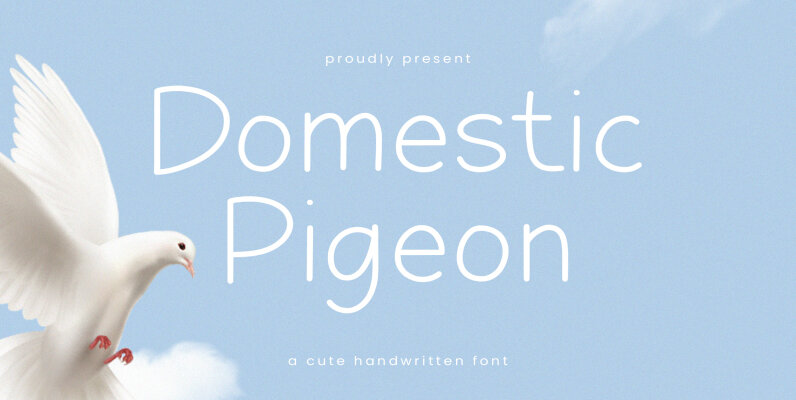 Domestic Pigeon