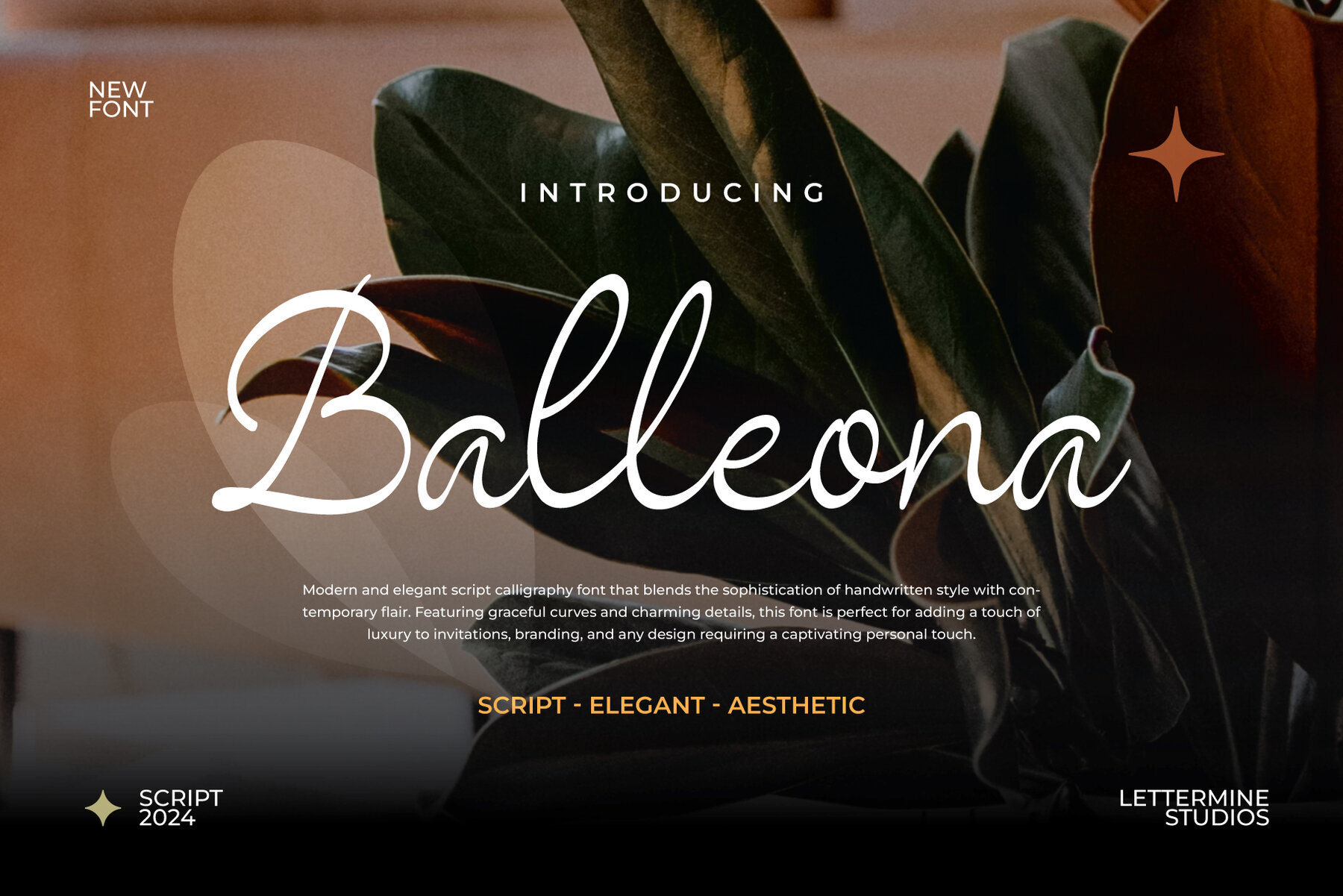 Ballenoa 1