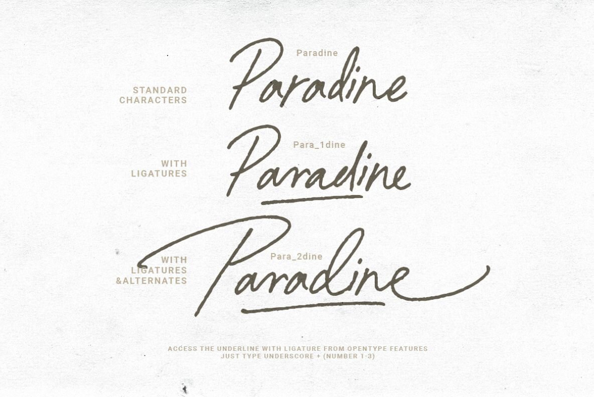 Paradine 12