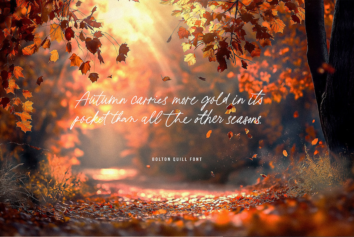Bolton Quill Script 3