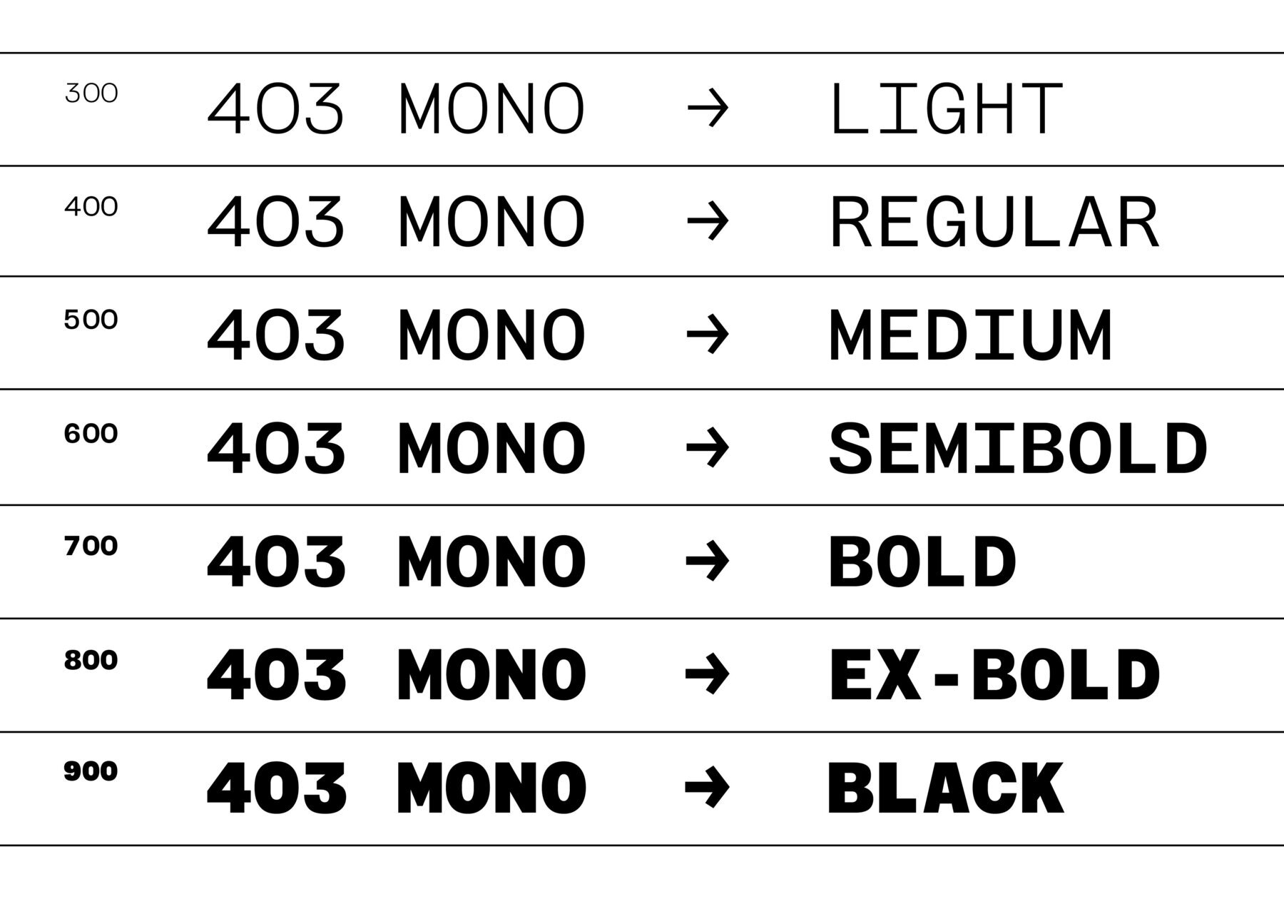 403 Mono 2