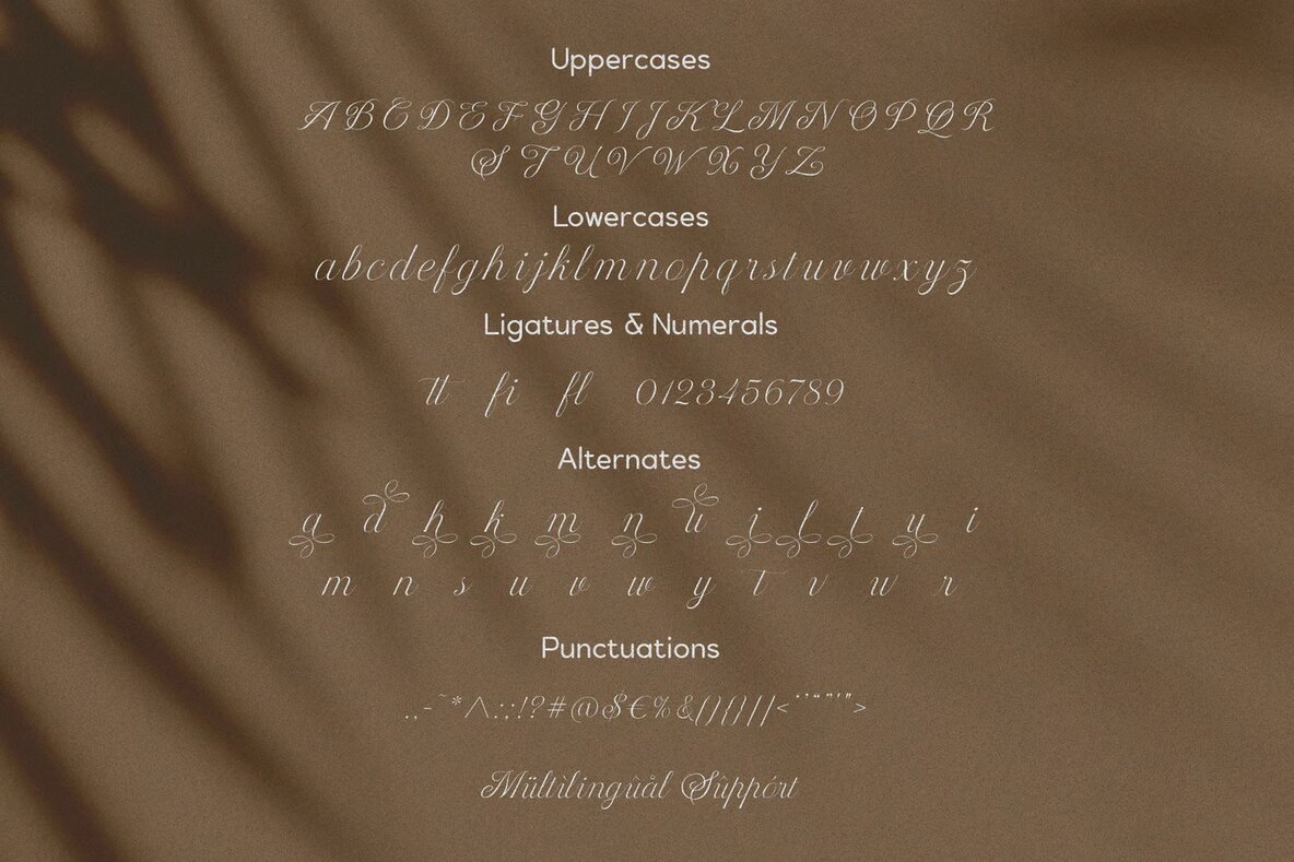 Delighted Sunrise 11