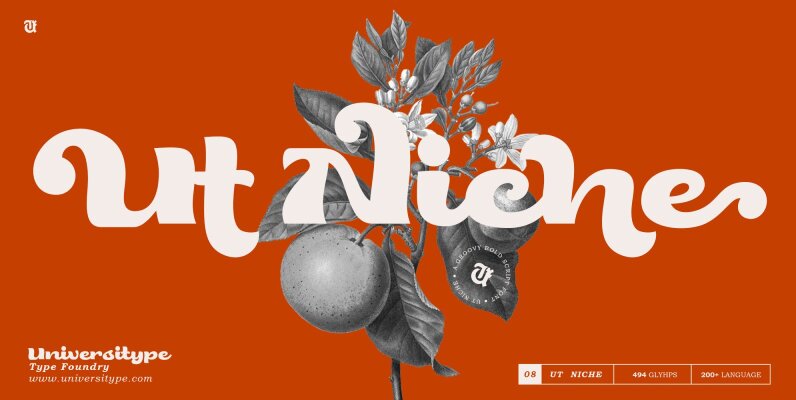 UT Niche