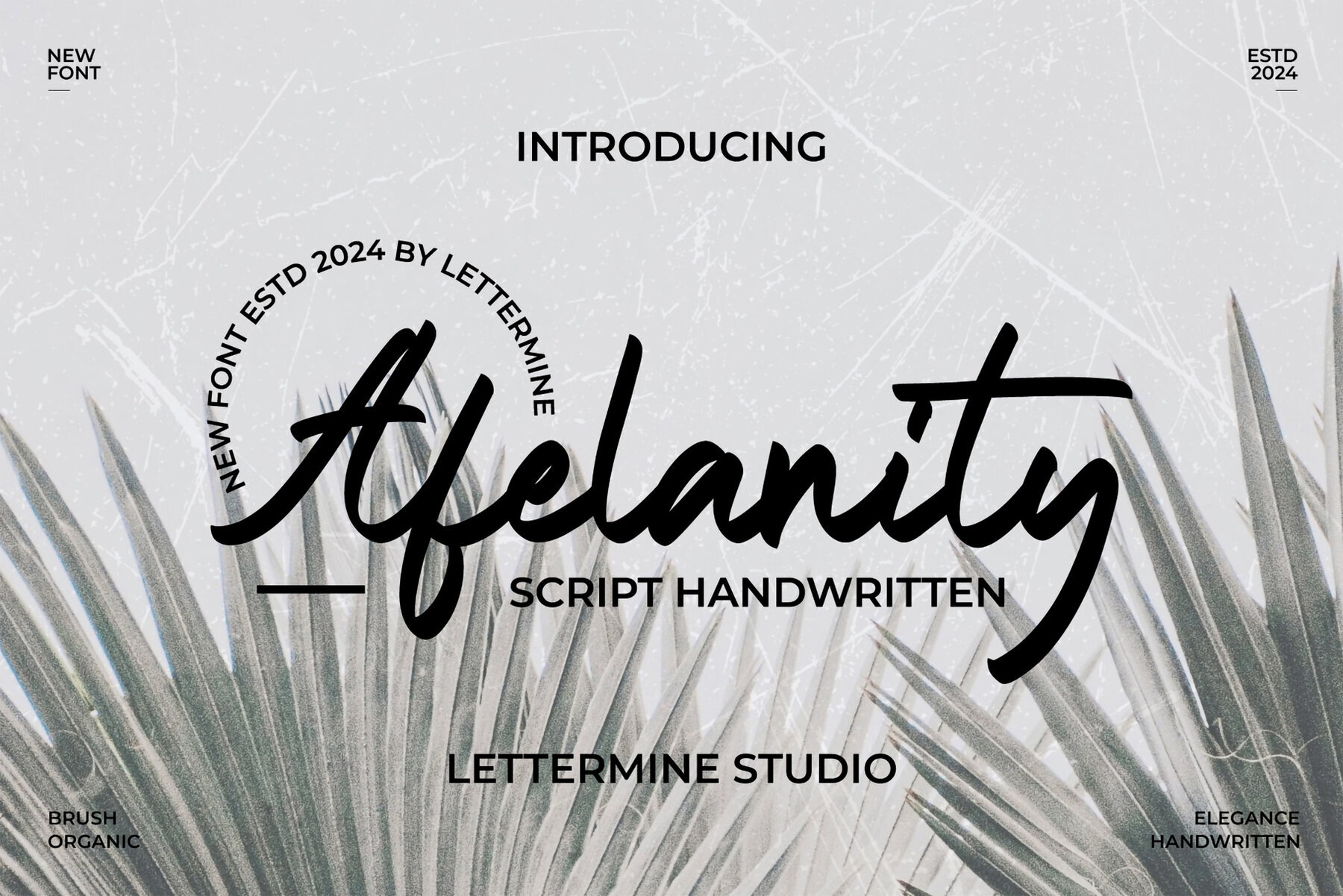 Afelanity 1