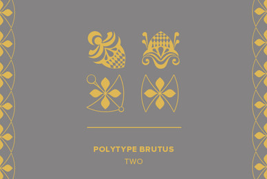 Polytype Brutus II Frames