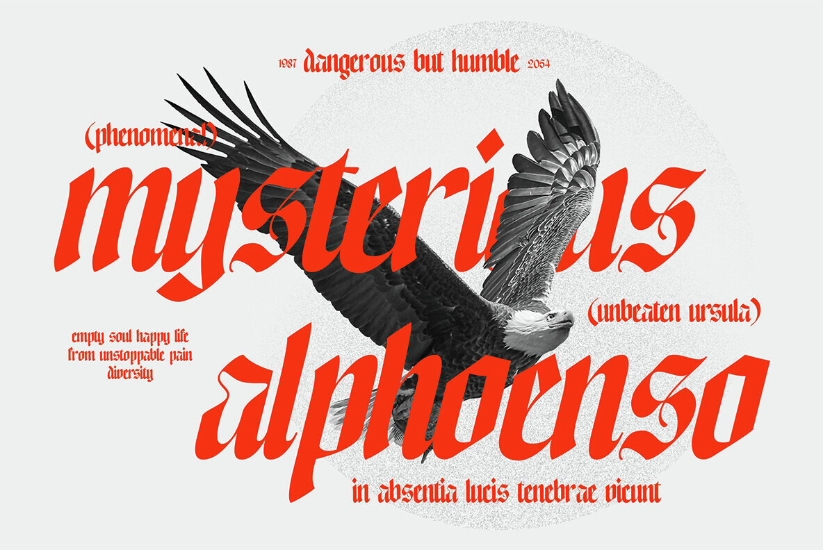 NCL Enigmatic Waesbendiy 3