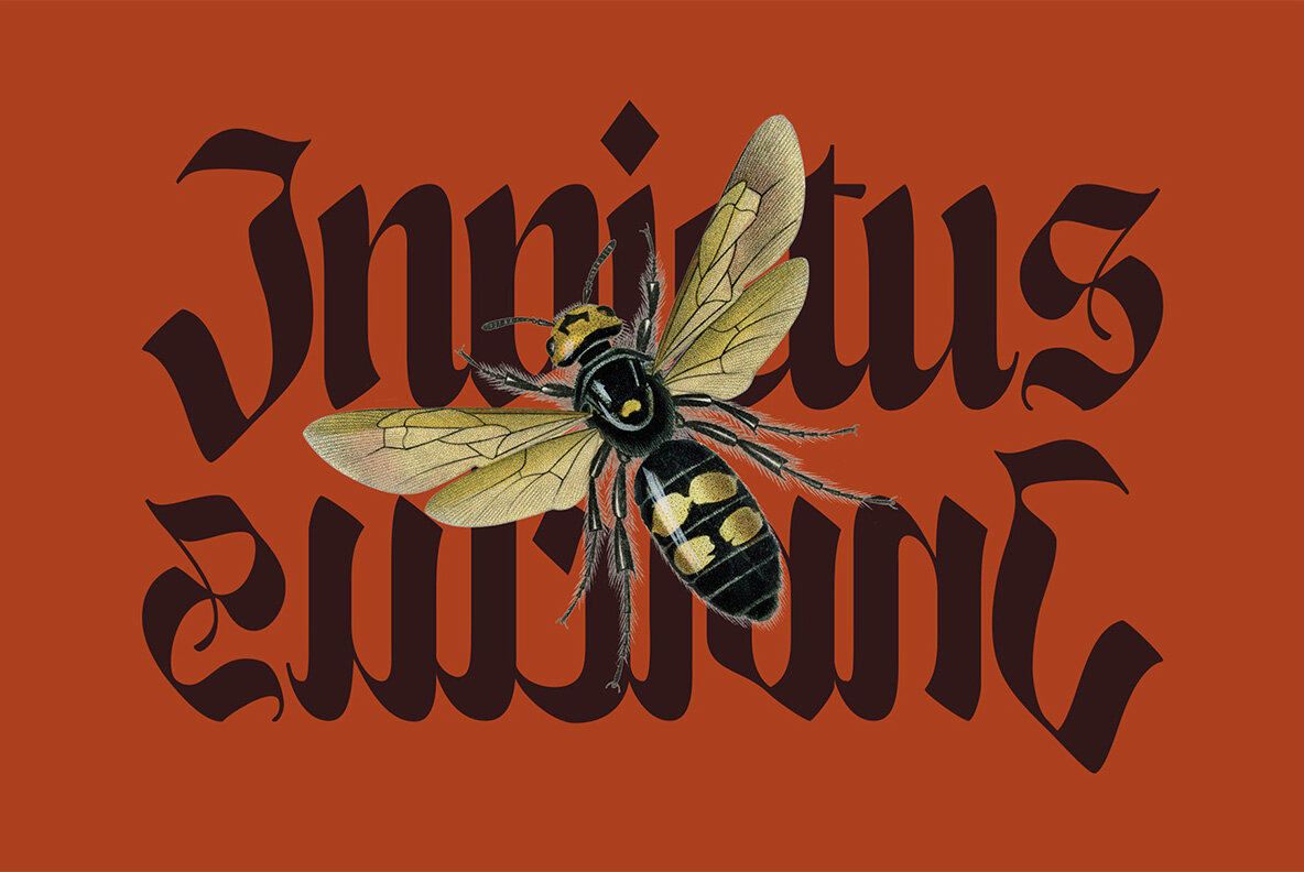 NCL Enigmatic Waesbendiy 9