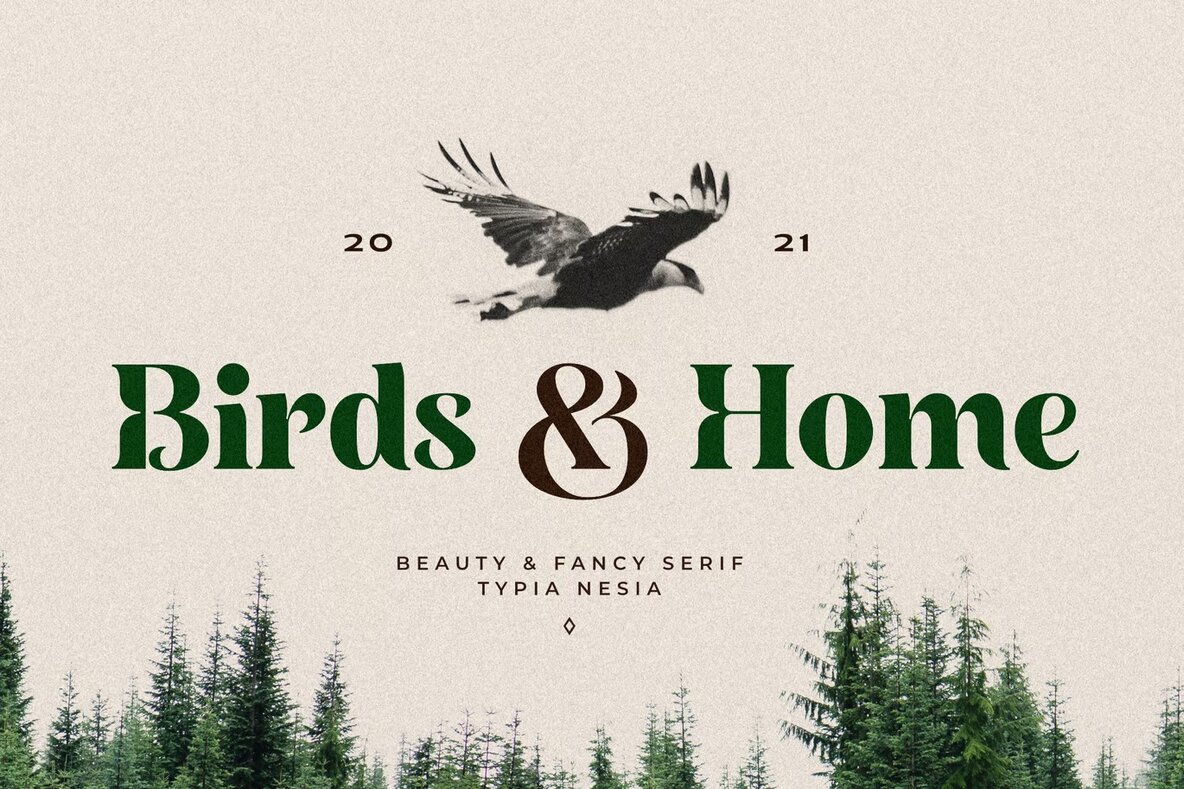 Birds and Home 5