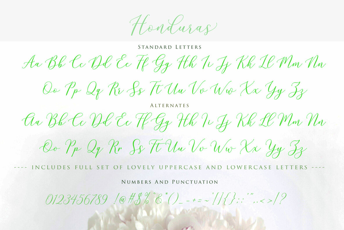 Honduras Script 7