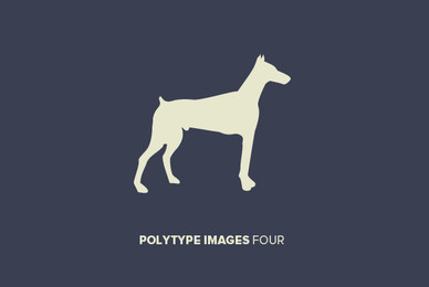 Polytype Images Four