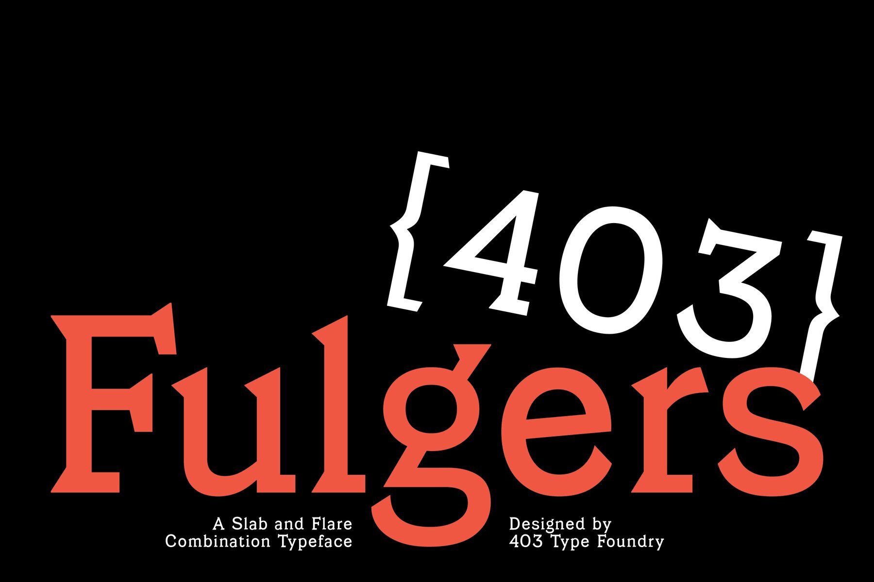 403 Fulgers 1