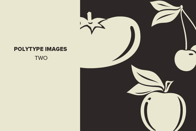 Polytype Images Two
