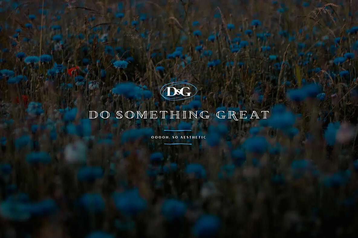 TC Brixton Handmade Collection 7